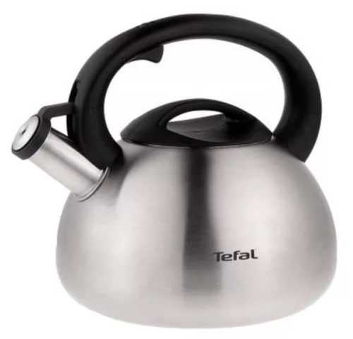 Чайник металлический Tefal C7921024 2.5л серебристый