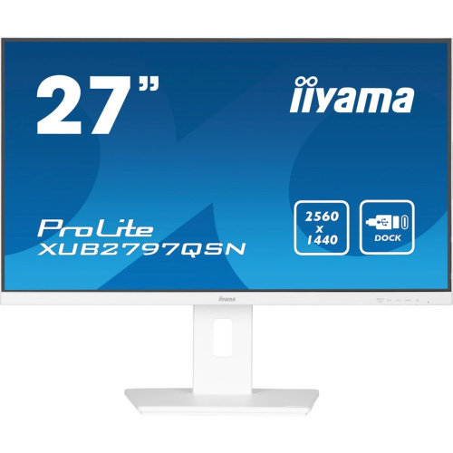 Монитор Iiyama ProLite XUB2797QSN-W2 белый