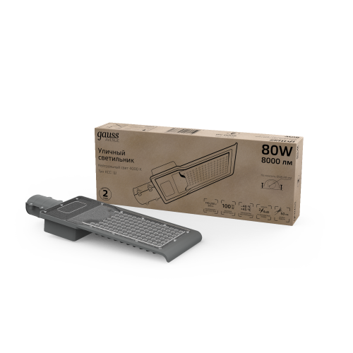 Светильник уличный GAUSS Avenue 629534280 черный