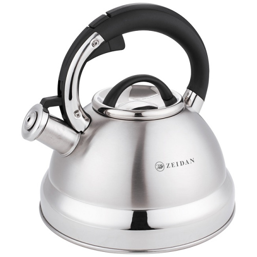 Чайник ZEIDAN Z-4500