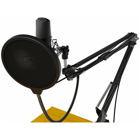 Микрофон RITMIX RDM-169 Black