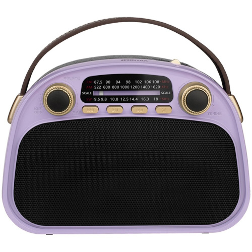 Радиоприемник RITMIX RPR-040 Lavender