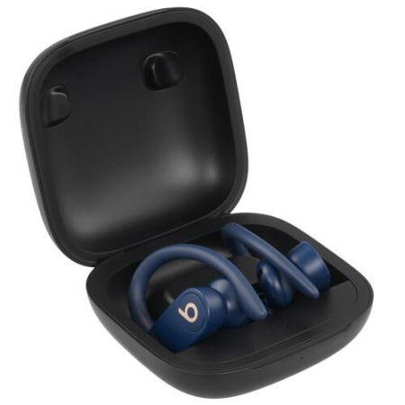 Наушники TWS Beats Powerbeats Pro синий
