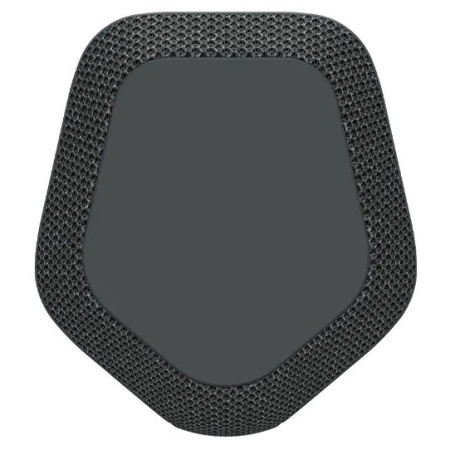 Беспроводная колонка Sony SRS-XE300 черный