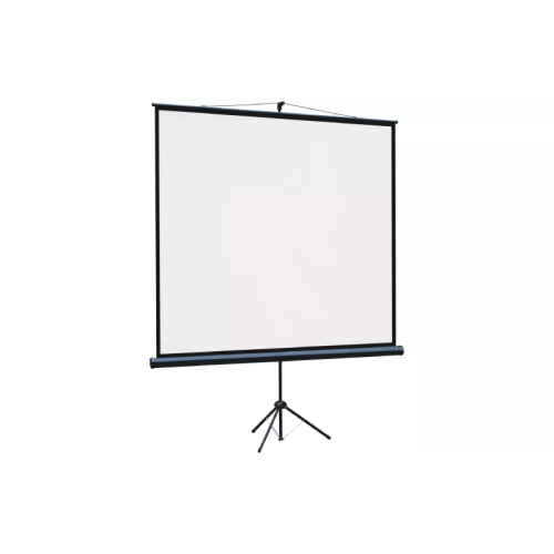 Экран Lumien Eco View (LEV-100112) White