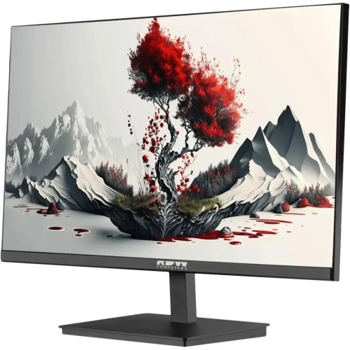 Монитор RDW COMPUTERS 2401K R (2401K/F00В3100V2A1H) черный