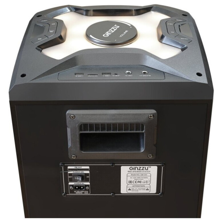 Акустическая система GINZZU Midi GM-203