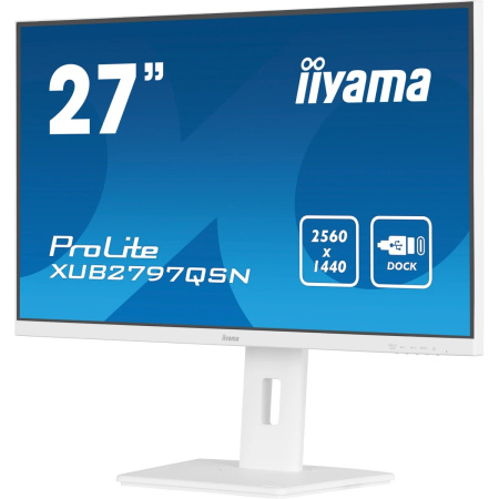 Монитор Iiyama ProLite XUB2797QSN-W2 белый